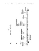 PHAGE OMRU POLYNUCLEOTIDES AND POLYPEPTIDES AND USES THEREOF diagram and image