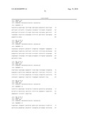 PHAGE OMRU POLYNUCLEOTIDES AND POLYPEPTIDES AND USES THEREOF diagram and image