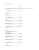 PHAGE OMRU POLYNUCLEOTIDES AND POLYPEPTIDES AND USES THEREOF diagram and image