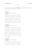 PHAGE OMRU POLYNUCLEOTIDES AND POLYPEPTIDES AND USES THEREOF diagram and image