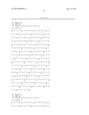 PHAGE OMRU POLYNUCLEOTIDES AND POLYPEPTIDES AND USES THEREOF diagram and image