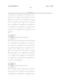 PHAGE OMRU POLYNUCLEOTIDES AND POLYPEPTIDES AND USES THEREOF diagram and image