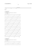 PHAGE OMRU POLYNUCLEOTIDES AND POLYPEPTIDES AND USES THEREOF diagram and image