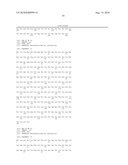 PHAGE OMRU POLYNUCLEOTIDES AND POLYPEPTIDES AND USES THEREOF diagram and image