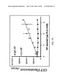 PHOTOCHEMICAL ACTIVATION OF SURFACES FOR ATTACHING BIOMATERIAL diagram and image