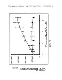PHOTOCHEMICAL ACTIVATION OF SURFACES FOR ATTACHING BIOMATERIAL diagram and image