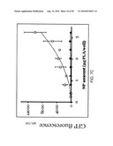 PHOTOCHEMICAL ACTIVATION OF SURFACES FOR ATTACHING BIOMATERIAL diagram and image