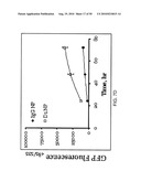 PHOTOCHEMICAL ACTIVATION OF SURFACES FOR ATTACHING BIOMATERIAL diagram and image