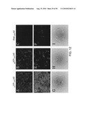 PHOTOCHEMICAL ACTIVATION OF SURFACES FOR ATTACHING BIOMATERIAL diagram and image