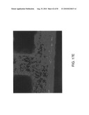 PHOTOCHEMICAL ACTIVATION OF SURFACES FOR ATTACHING BIOMATERIAL diagram and image