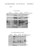 Systems for and Methods of Detecting Mastitis diagram and image