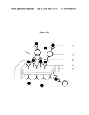 SPECIFICITY AND SENSITIVITY ENHANCEMENT IN CANTILEVER SENSING diagram and image