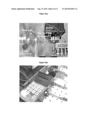 SPECIFICITY AND SENSITIVITY ENHANCEMENT IN CANTILEVER SENSING diagram and image