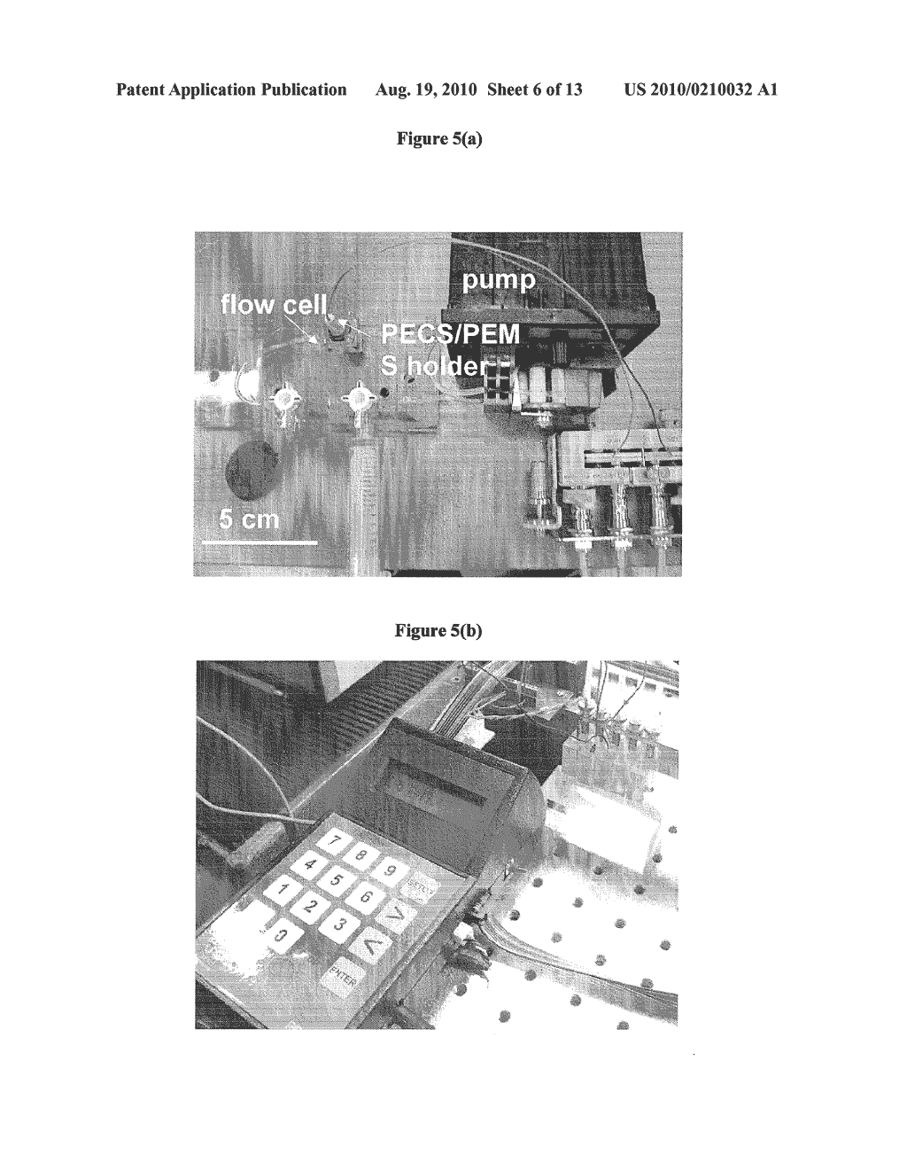 SPECIFICITY AND SENSITIVITY ENHANCEMENT IN CANTILEVER SENSING - diagram, schematic, and image 07