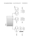 MAKE AND USE OF SURFACE MOLECULES OF VARIED DENSITIES diagram and image