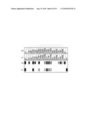 MAKE AND USE OF SURFACE MOLECULES OF VARIED DENSITIES diagram and image