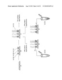 MAKE AND USE OF SURFACE MOLECULES OF VARIED DENSITIES diagram and image