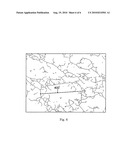 LIQUID DETERGENT COMPOSITION COMPRISING AN EXTERNAL STRUCTURING SYSTEM COMPRISING A BACTERIAL CELLULOSE NETWORK diagram and image