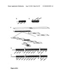 Compositions and methods for modulating ampa receptor-mediated excitotoxicity diagram and image