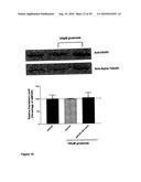 Compositions and methods for modulating ampa receptor-mediated excitotoxicity diagram and image