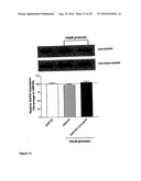 Compositions and methods for modulating ampa receptor-mediated excitotoxicity diagram and image