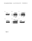 Compositions and methods for modulating ampa receptor-mediated excitotoxicity diagram and image