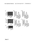 Compositions and methods for modulating ampa receptor-mediated excitotoxicity diagram and image