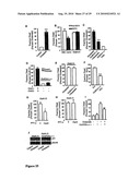 Compositions and methods for modulating ampa receptor-mediated excitotoxicity diagram and image