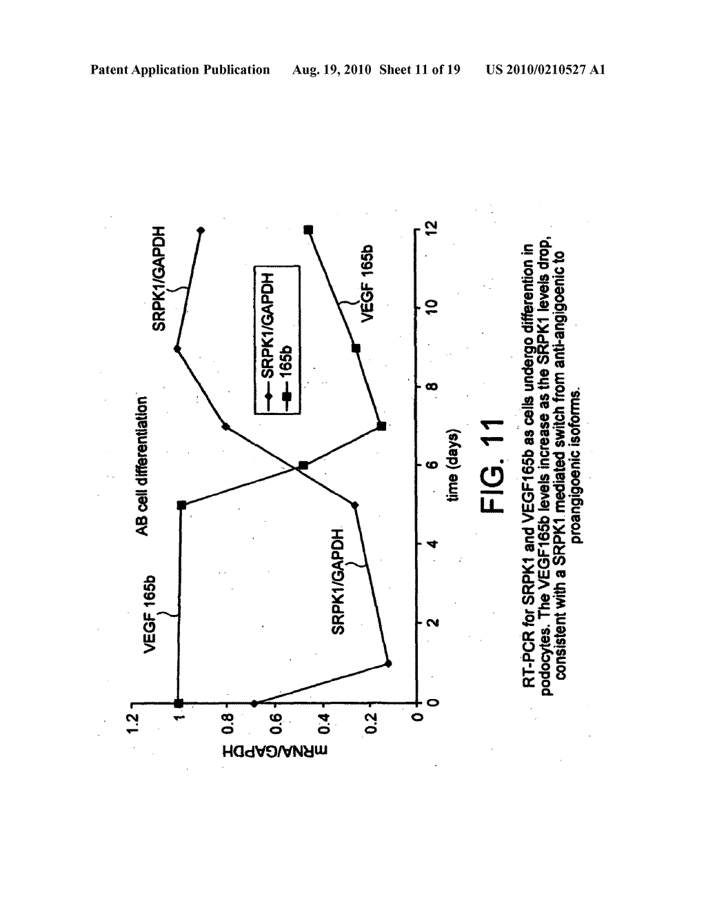 PRO- AND ANTI-ANGIOGENIC TREATMENTS - diagram, schematic, and image 12