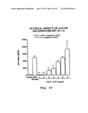 Compositions, methods and uses for inhibition and/or treatment of influenza infection diagram and image