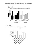 Compositions, methods and uses for inhibition and/or treatment of influenza infection diagram and image