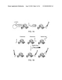 Aldehyde-Tagged Protein-Based Drug Carriers and Methods of Use diagram and image