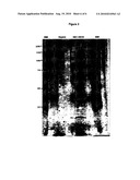 METASTASIS-SPECIFIC PEPTIDES AND THEIR DIAGNOSTIC AND THERAPEUTIC APPLICATIONS diagram and image