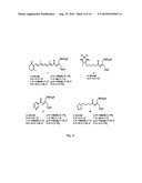 Mitochondria-targeting antioxidant therapeutics diagram and image