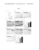 COMPOSITIONS AND TREATMENTS FOR SEIZURE-RELATED DISORDERS diagram and image