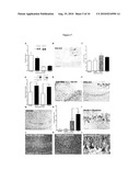 COMPOSITIONS AND TREATMENTS FOR SEIZURE-RELATED DISORDERS diagram and image