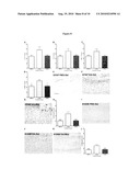 COMPOSITIONS AND TREATMENTS FOR SEIZURE-RELATED DISORDERS diagram and image