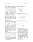 NOVEL SULFONAMIDE INHIBITORS OF ASPARTYL PROTEASE diagram and image