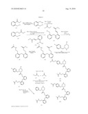 RENIN INHIBITORS diagram and image