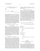 Chemically Modified Small Molecules diagram and image