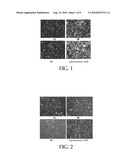 BIODEGRADABLE CATIONIC POLYMERS diagram and image