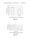 BIODEGRADABLE CATIONIC POLYMERS diagram and image