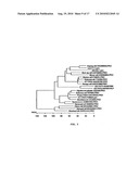 FATTY ACID DESATURASES FROM FUNGI diagram and image