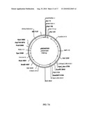 FATTY ACID DESATURASES FROM FUNGI diagram and image