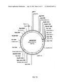 FATTY ACID DESATURASES FROM FUNGI diagram and image