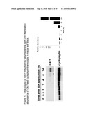 Compositions and Methods of Use of Response Regulators diagram and image