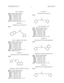 Highly Refractive Immersion Liquids And Their Use diagram and image