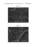 Absorbent sheet having regenerated cellulose microfiber network diagram and image