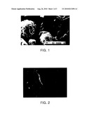 SEALING COMPOSITION FOR LIGHT EMITTING DEVICE AND LIGHT EMITTING DEVICE INCLUDING THE SAME diagram and image