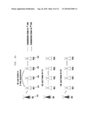 METHOD AND APPARATUS FOR RESOURCE ALLOCATION IN A MULTI HOP RELAY NETWORK diagram and image